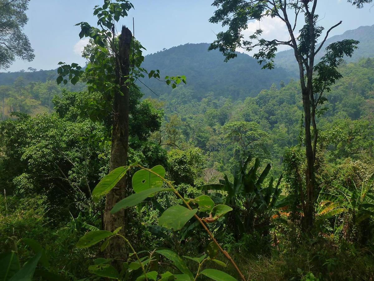 Hidden Valley Bungalows Baan Tai Exterior foto